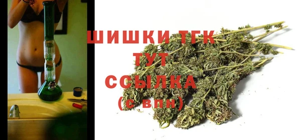 тгк Беломорск