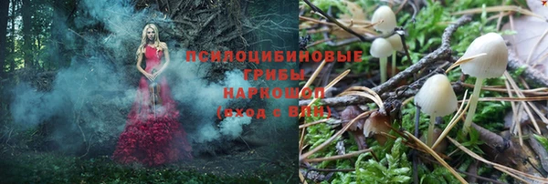 дурь Белоозёрский