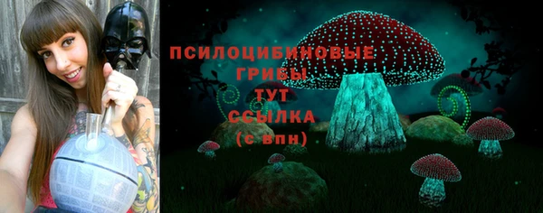 тгк Беломорск