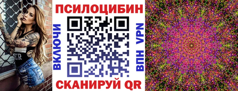 сайты даркнета как зайти  Кодинск  Галлюциногенные грибы MAGIC MUSHROOMS 